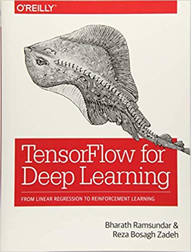 TensorFlow For Deep Learning - Programmer Books